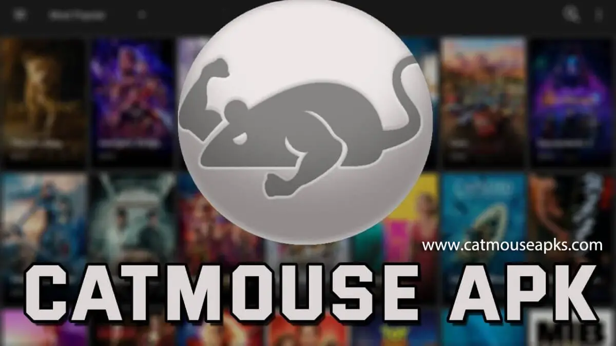 Catmouse APK Logo