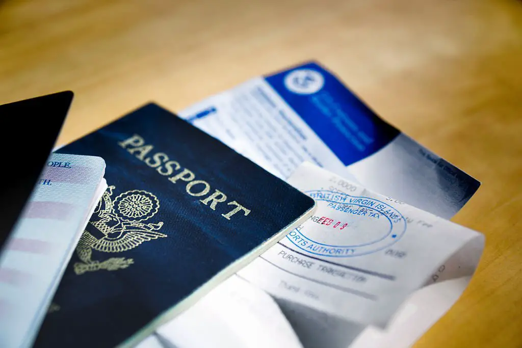 Visa agent