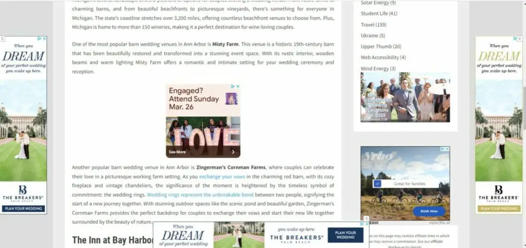 Ezoic Ad Types