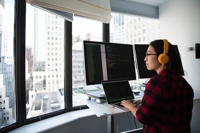 Website Developer