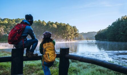 can you live in a national forest