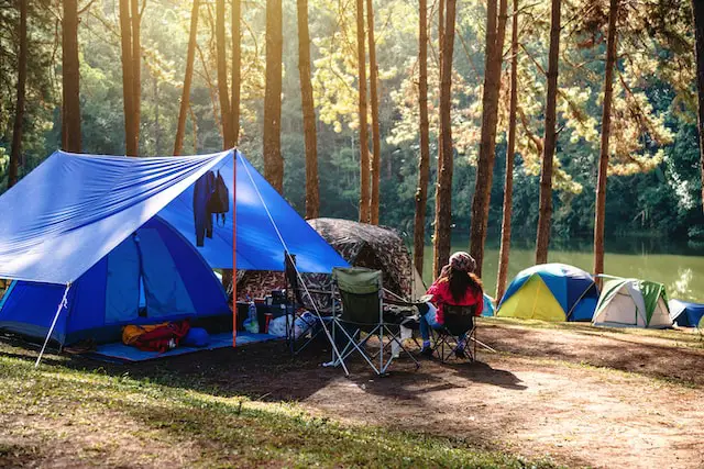 can you legally live in a national forest