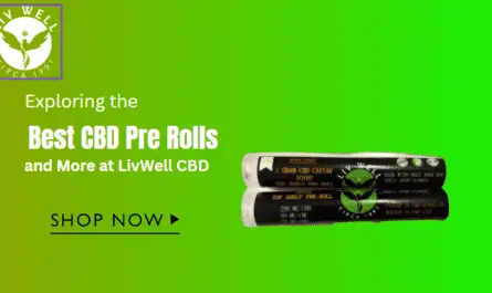 Best CBD Pre Rolls