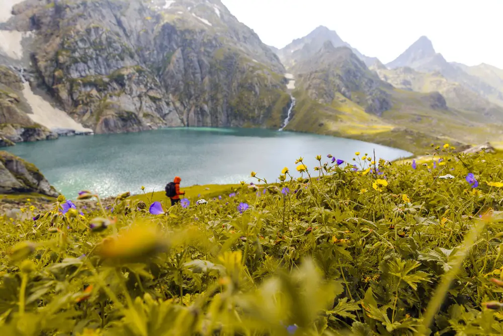 Kashmir Great Lakes Trek