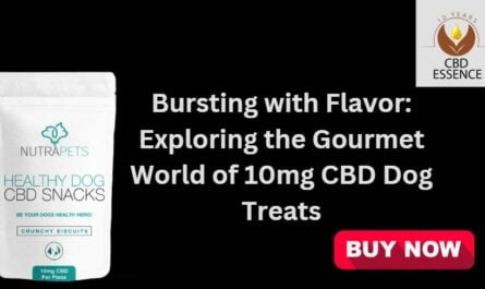 Bursting with Flavor: Exploring the Gourmet World of 10mg CBD Dog Treats