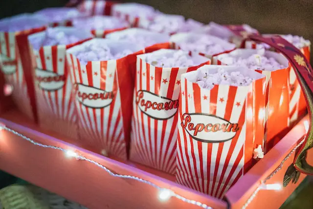 Popcorn Boxes