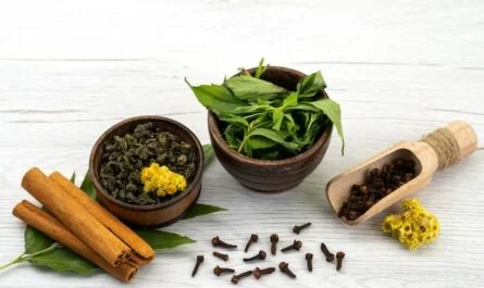 Holistic Liver Health Approach: with Ayurveda Medicine