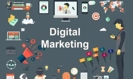 Digital Marketing Company In Chandigarh