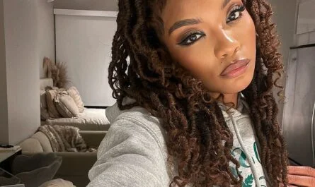 Twist Braids