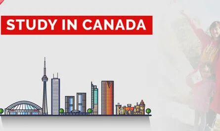 Immigration Consultants