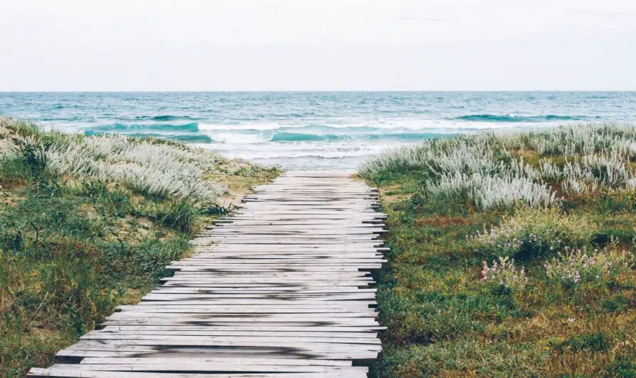 If the path be beautiful, let us not ask where it leads.