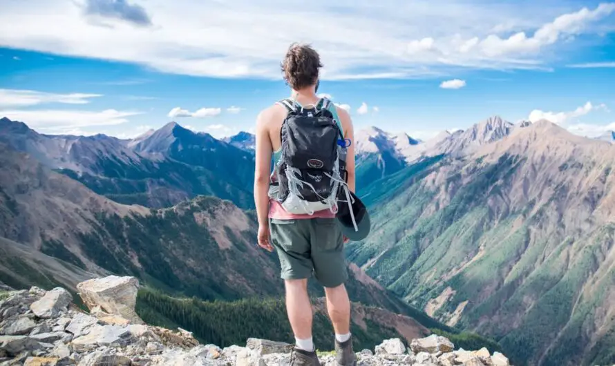 The world is a book, and those who do not travel read only a page.