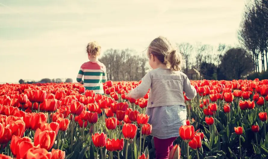 Life is 10% what happens to you and 90% how you react to it.