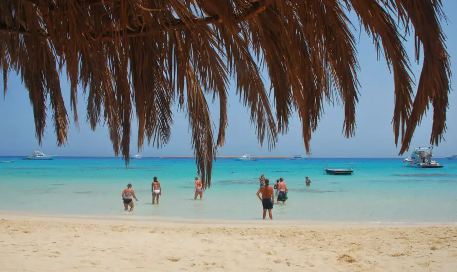 Enjoy the world, Enjoy in the sea.