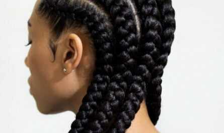 Twist Braids