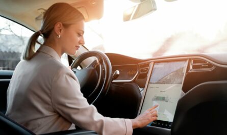 online fleet management system