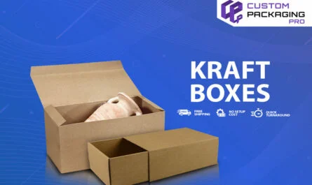 Kraft Boxes