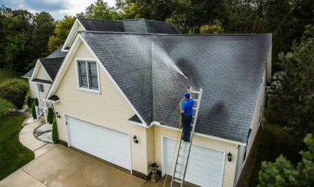 Roof Soft Washing