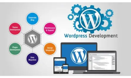 Wordpress development