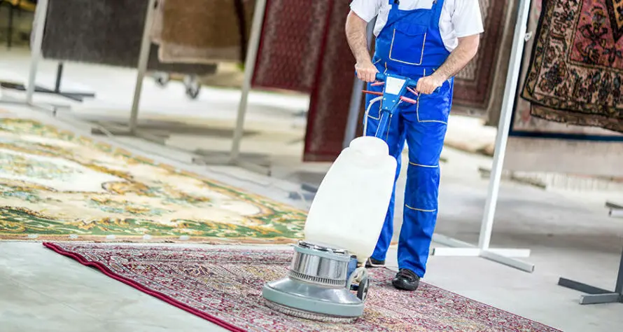 The Impact of Clean Carpet on Indoor Air Quality in Homes