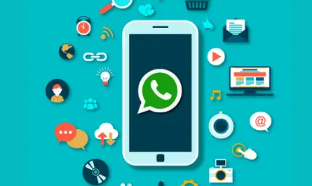 whatsapp marketing in ahmedabad