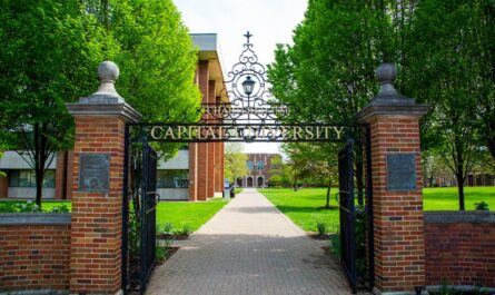 Capital University Best Undergraduate Programs