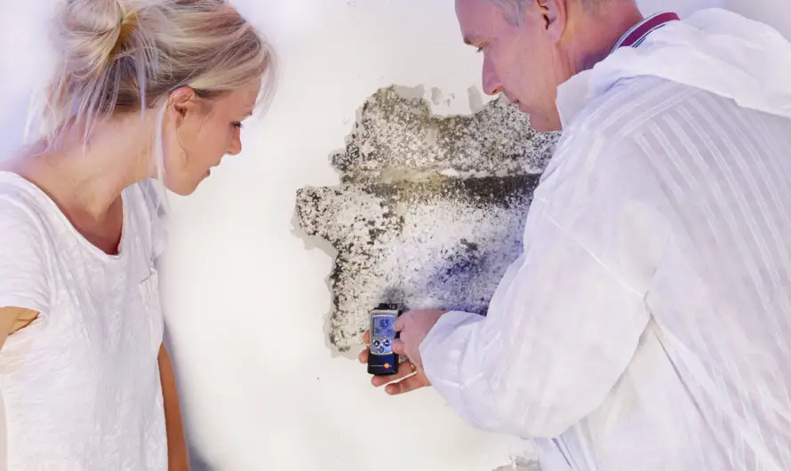 How Can You Prepare for a Mold Remediation Project?