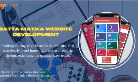 Satta Matka Website Development