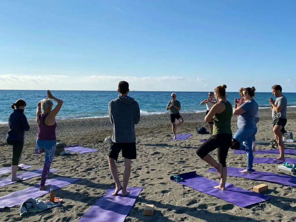 Tree+pose+on+beach+group