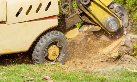 Emergency Stump Grinding