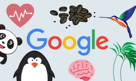 affordable seo service provider company in india