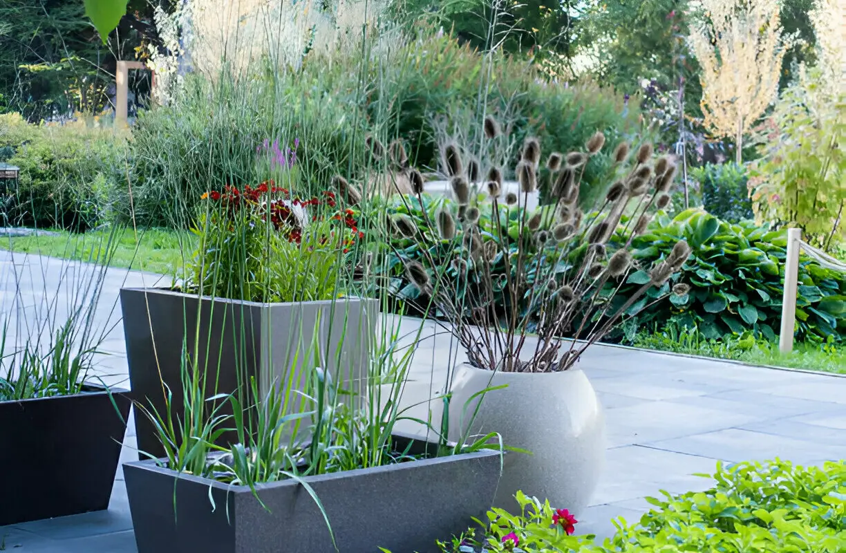 plant pots in Dubai, best outdoor plants in Dubai