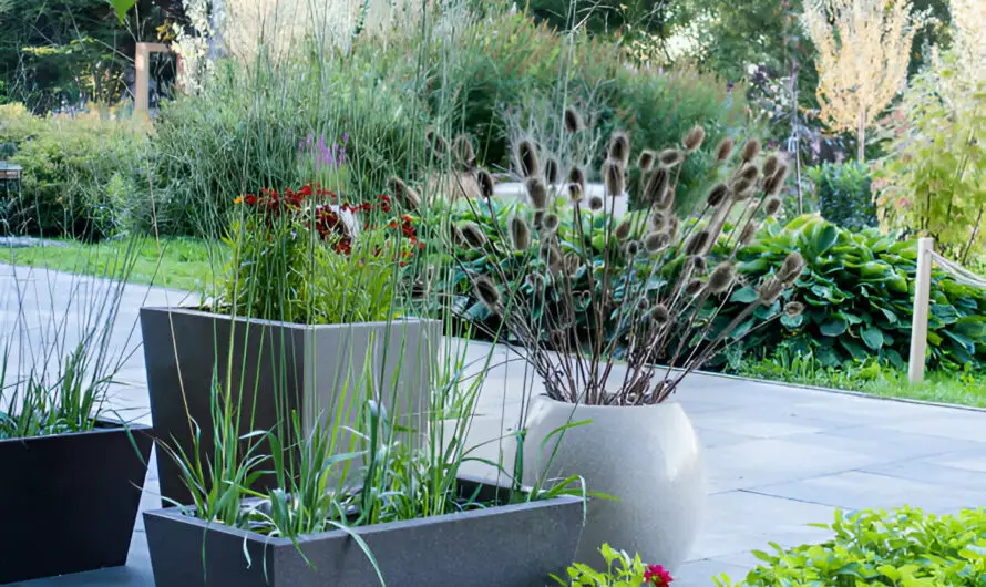 How Can Outdoor Planters Improve the Aesthetic of Garden?