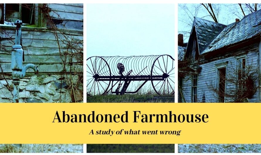 7 Eerie Abandoned Farmhouses You’d Be Insane Not to Miss!