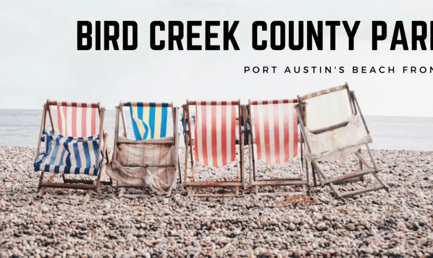 7 Unmissable Reasons Bird Creek County Park is Port Austin’s Absolute Beach Paradise!