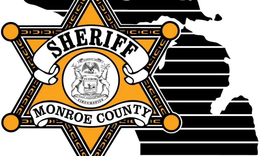 Monroe County Deputies Arrest Venezuelan National in Bedford Township – Fake IDs and Social Security Cards Found in Crash Probe