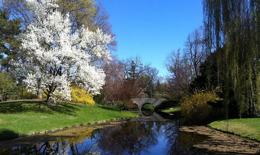 Whiting Forest, Canopy Walk, and Concerts: Why Dow Gardens is a Must-Visit – A Year-Round Escape in Midland