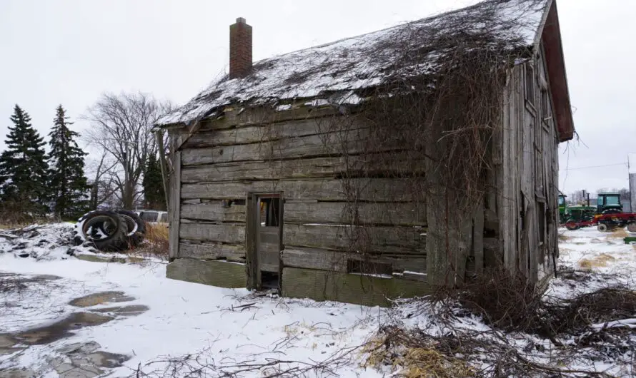 Plans Underway for 2 Ora Labora Cabins From the  Colony to be Restored