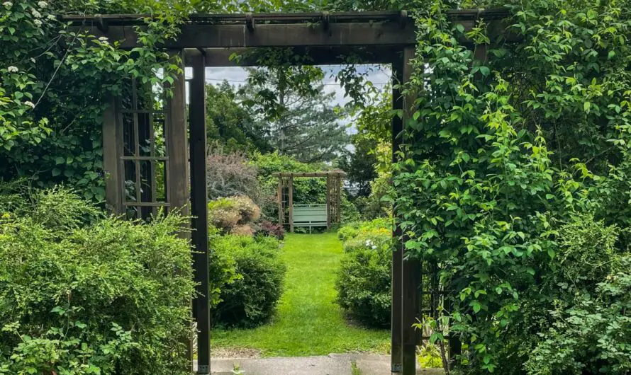 10 Unbelievable Reasons Why Cooley Gardens & Scott Sunken Gardens are Lansing’s Worst Kept Secret Oasis!