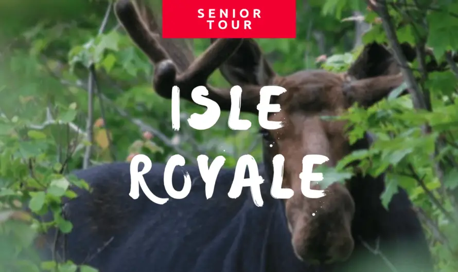 Isle Royale National Park: Fun for All Ages in 2020