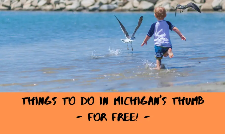 12 Amazing Freebies: Uncover Michigan’s Thumb without Spraining your Wallet