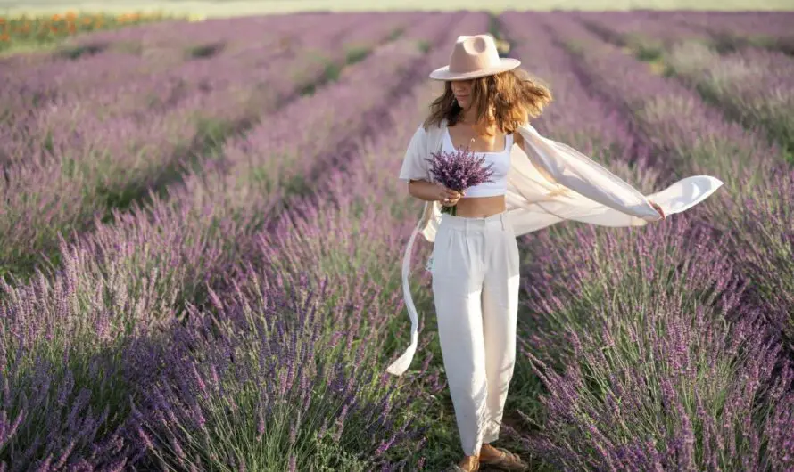 21 Top-Notch Michigan Lavender Farms: Experience Unmatched Tranquility & Bursting Colors