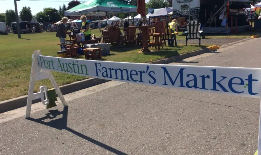 Only 10 Brave Vendors Defy Dismal Turnout in Port Austin Farm Market’s Grand Opening