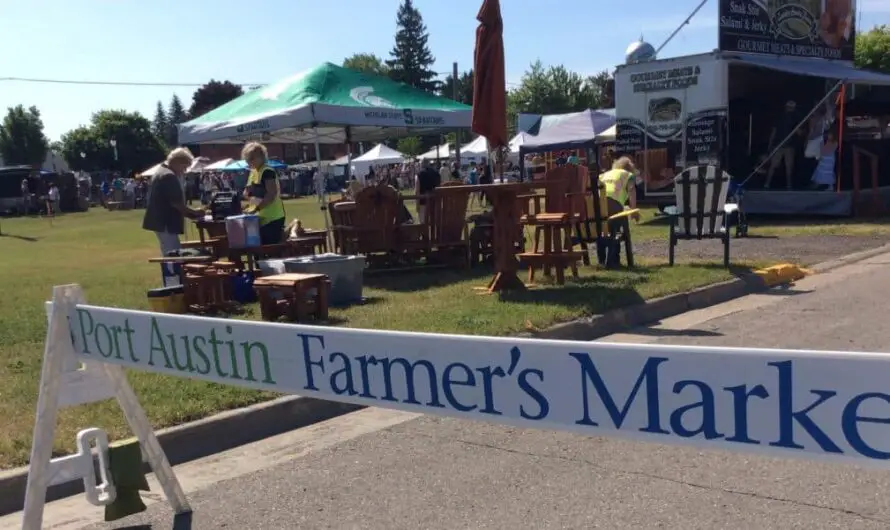 10 Unbelievable Finds You Won’t Believe at Port Austin Market Every Scorching Summer Weekend!