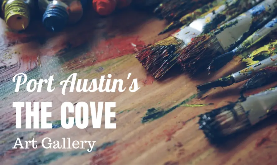 7 Unconventional Masterpieces at Port Austin’s Top Art Gallery: The Cove, A Hidden Gem Crafted by Local Geniuses