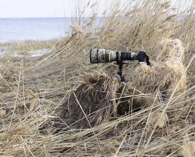 10 Amazing Secrets Unleashed: Master the Art of Wildlife and Nature Photography at Huron County Nature Center!