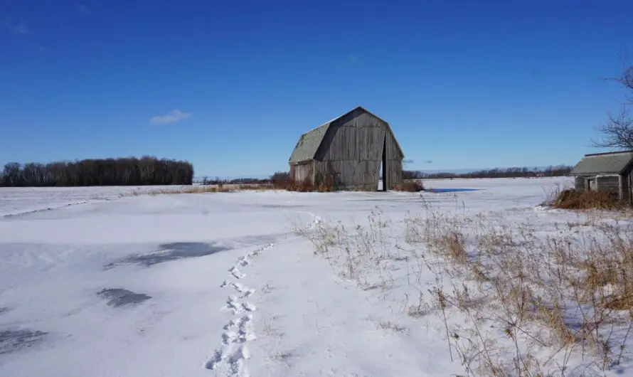 Michigan Barn Art in the Upper Thumb