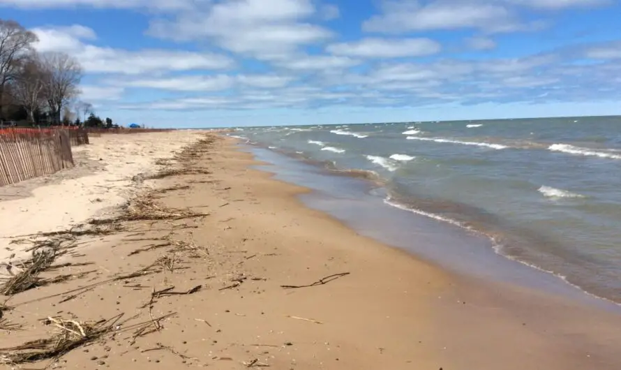 Saginaw Bay Pollution – Alarmingly Contaminated For Over 37 Years