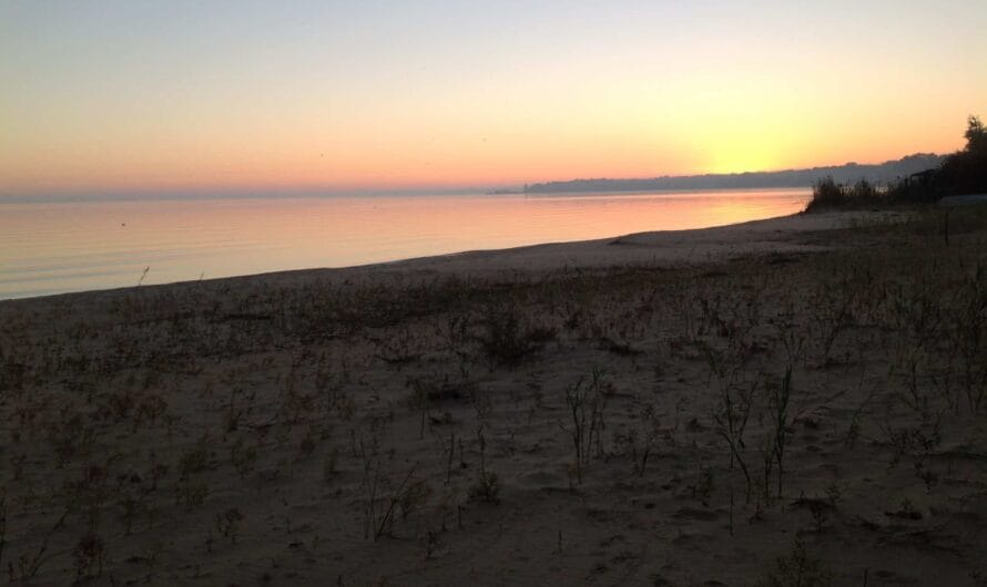 Coffee and a Saginaw Bay Sunrise