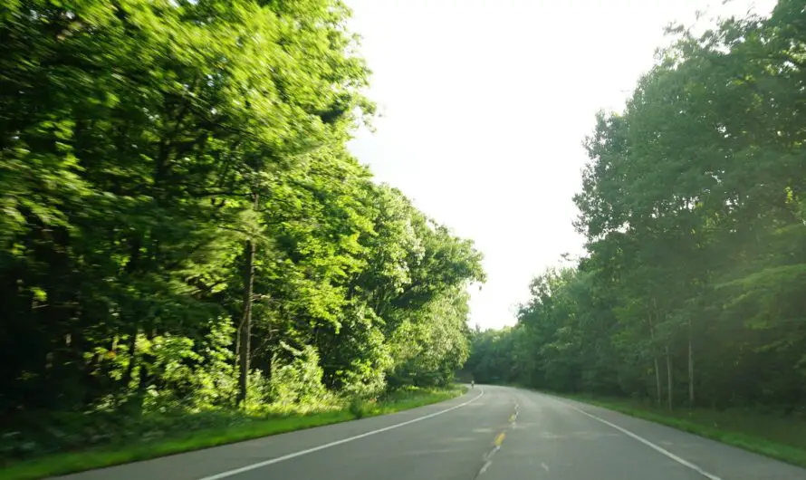The End of the Road in Michigan Podcast